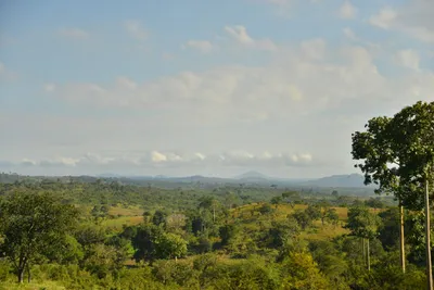 DSC_4361 (Large).JPG